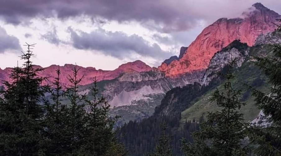 Alpenperle Διαμέρισμα Isenthal Εξωτερικό φωτογραφία